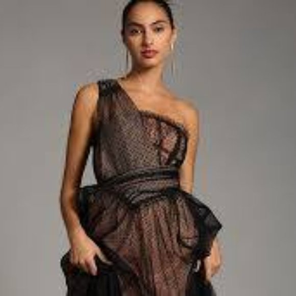 Brand New Gorgeous By Anthropologie Tulle Dot Maxi Dress - Picture 6 of 14